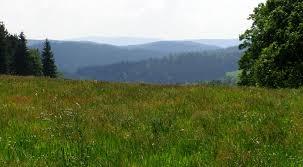 Przełęcz Rędzińska